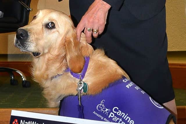 A dog from Canine Partners went along to the cheque presentation.