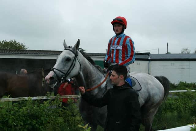 Front-running Sir Note returns to the winners enclosure after winning the feature race. Jack Quinlan is on board; EMN-160526-092904002