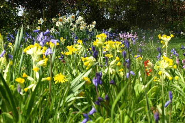 Firsby Manor opens it garden for the first time this year in aid of the NGS EMN-160526-181942001