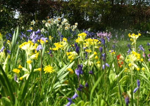 Firsby Manor opens it garden for the first time this year in aid of the NGS EMN-160526-181942001