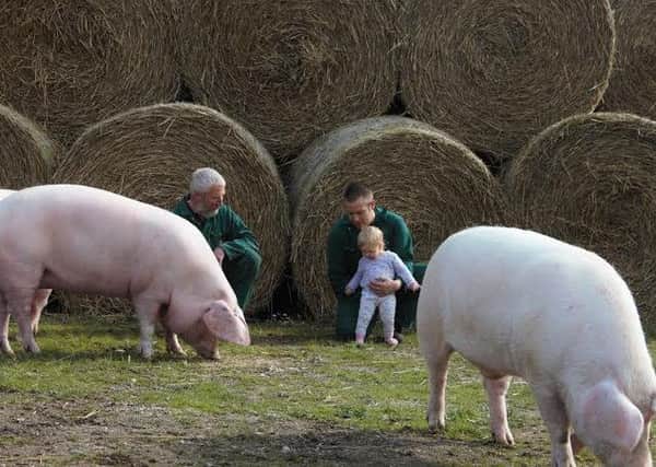 A chance to get up close to pigs at Minting Farm EMN-160527-132822001