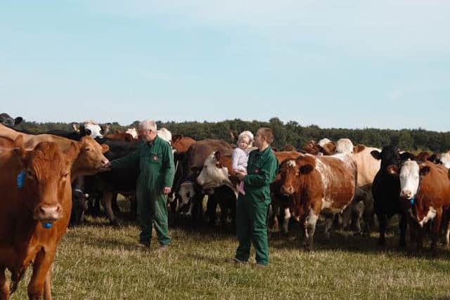 Working with the cows at Minting Farm EMN-160527-132803001