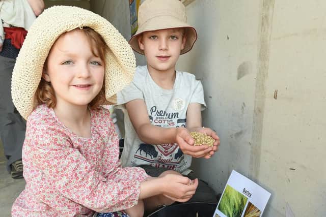Open Farm Sunday event at Ewerby Thorpe. Sam Smith 7 and Elena Smith 5 looking at different grains. EMN-160606-152226001
