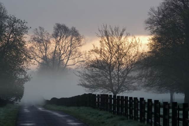 Early morning mist in Grainsby Park by John Brackenbury, Brookenby Camera Club EMN-160627-061607001