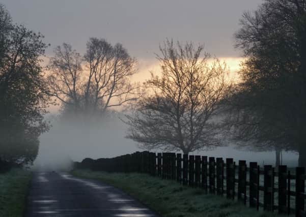 Early morning mist in Grainsby Park by John Brackenbury, Brookenby Camera Club EMN-160627-061607001
