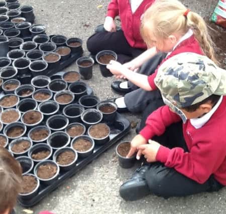 Primary school children have been busy getting involved in the planting project, which has formed part of their current school curriculum.