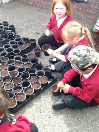 Primary school children have been busy getting involved in the planting project, which has formed part of their current school curriculum.