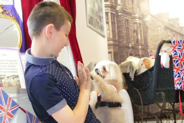 Trip teaches Alfie a few tricks. EMN-160621-125619001