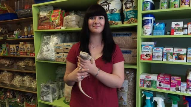 Meg Johnson (17) at Potty About Pets in Mercer Row, Louth.