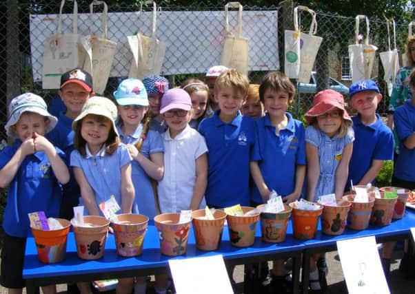 Welbourn School's 'Emerald' Year 2 class made decorated pots and bags for their stall on the Farmers Market. EMN-160629-172121001
