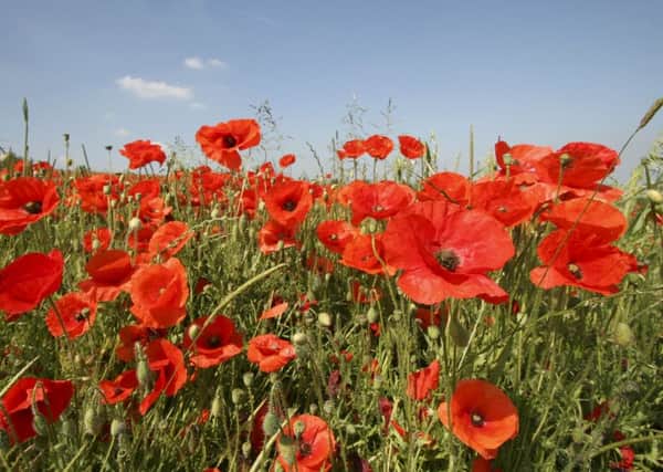 A Poppies on the Prom event is set to take place on Mablethorpe Promenade.