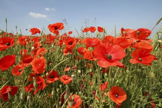 A Poppies on the Prom event is set to take place on Mablethorpe Promenade.
