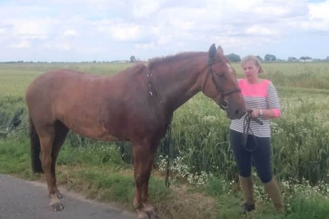Horse rescued from ditch by Donington Crew. Photo: Lincolnshire Fire and Rescue (@LincsFireRescue)