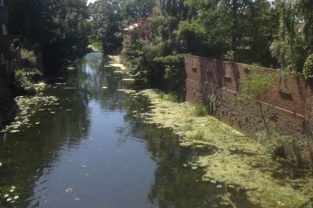 Green algae on the river in Brigg last summer. EMN-160107-080920001