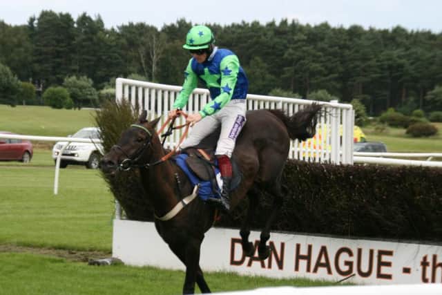 Cut the Corner and jockey Sam Twiston-Davies make a fine jump on their way to winning the feature race the Don Noble Handicap Steeplechase. EMN-160407-163501002