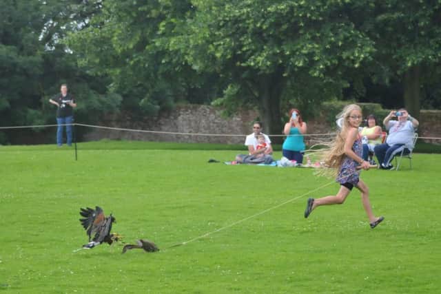 Falconry weekend at Tattershall Castle EMN-160607-064306001