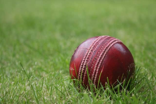 Cricket stock image