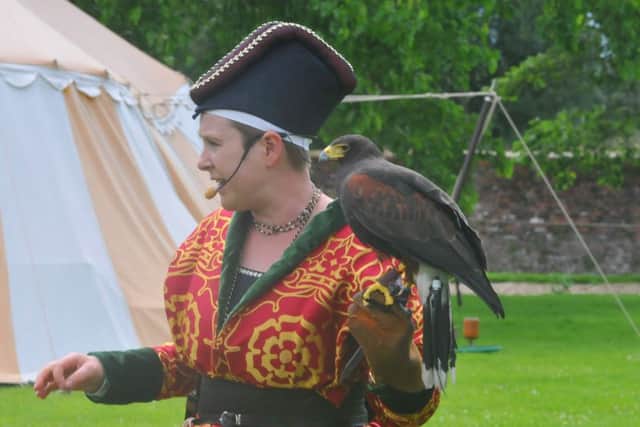 Falconry weekend at Tattershall Castle EMN-160607-064321001