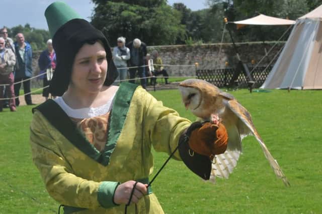 Falconry weekend at Tattershall Castle EMN-160607-064336001