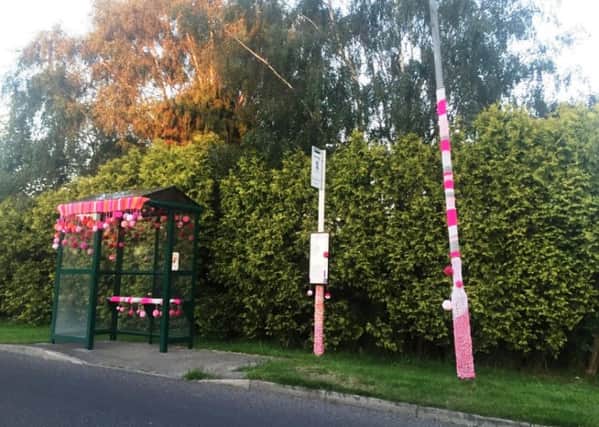 The streets of Woodhall Spa has been brightened up with this colourful display. Photo: Emma Tatlow.