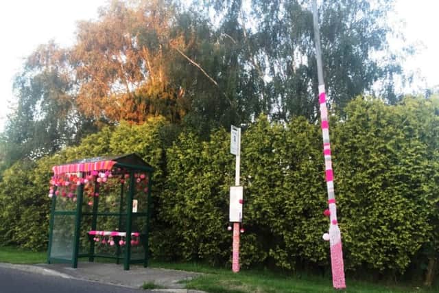 This new bus stop in Woodhall Spa brightened up the area, all in the name of charity.