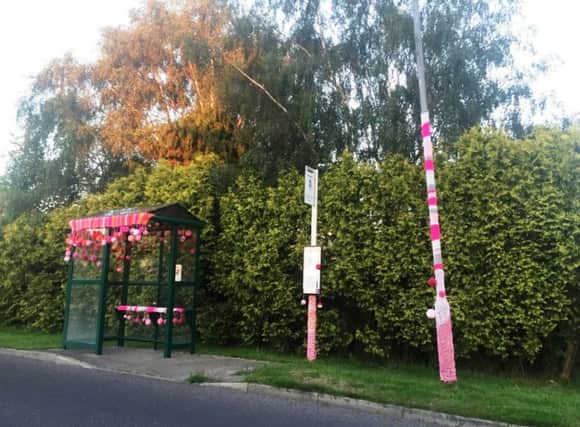 This new bus stop in Woodhall Spa brightened up the area, all in the name of charity.