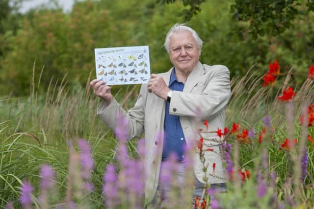 Sir David Attenborough launches the Big Butterfly Count EMN-160714-165131001