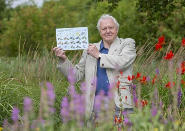 Sir David Attenborough launches the Big Butterfly Count EMN-160714-165131001