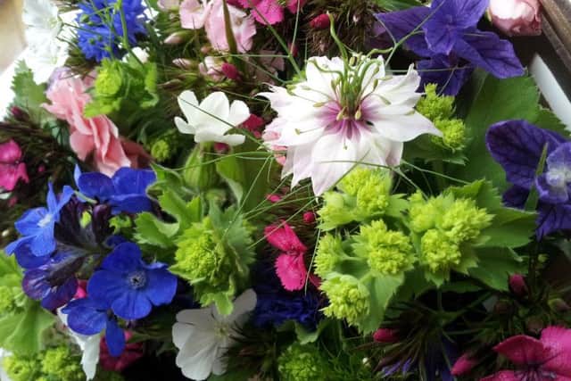 Pear Tree Cottage at Goulceby opens with The Stables at Ranby for the NGS EMN-161107-063829001