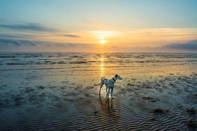 Here is Gill's award winning photograph, taken in Theddlethorpe.