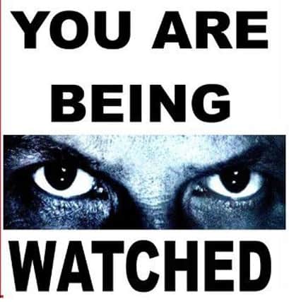 'You are being watched' signs were produced by the organisers of the meeting in Alvingham last week (July 18).