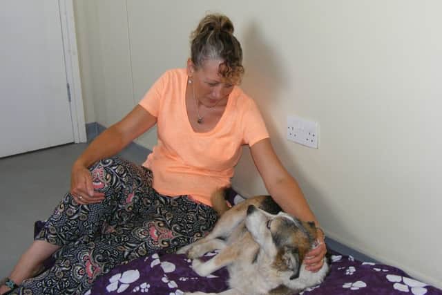 Helen Hilliard at work treating Sid and his aching back. EMN-160726-002401001