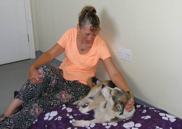 Helen Hilliard at work treating Sid and his aching back. EMN-160726-002401001