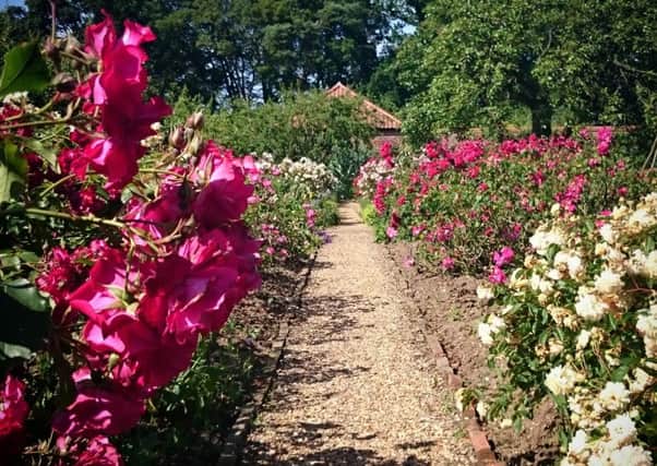 Gunby Hall gardens. copyright ©National Trust EMN-160208-071202001