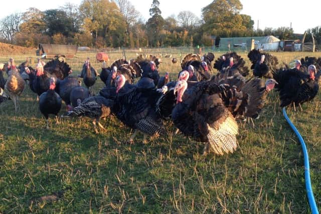 Food experts gobbled up the turkeys produced by The Inkpot at Scredington.
