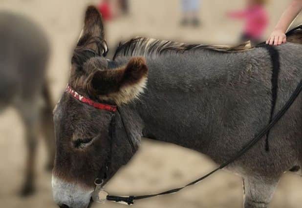 An investigation has been launched following the alleged poor condition of donkeys on the beach in Mablethorpe.