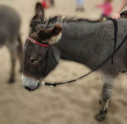 An investigation has been launched following the alleged poor condition of donkeys on the beach in Mablethorpe.