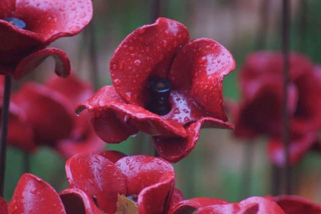 We Will Remember Them EMN-160813-094209001