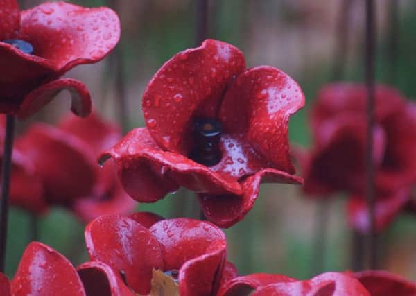 We Will Remember Them EMN-160813-094209001