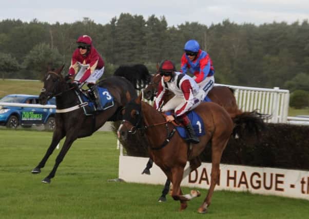 Runners take a fence in the Jane Clugston Novices Chase. EMN-160815-105520002