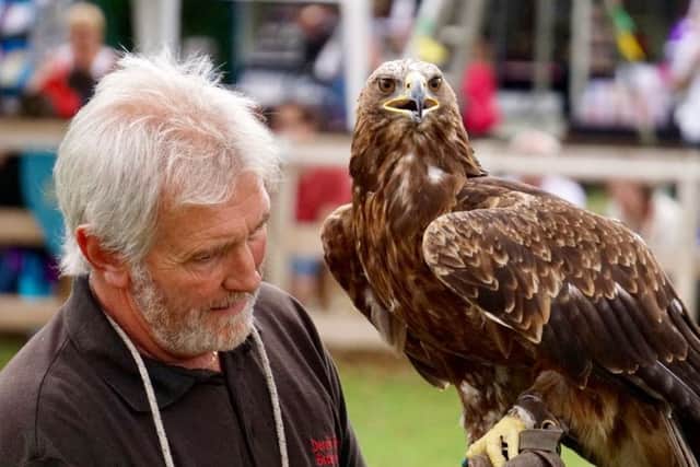 Medieval Tournament at Northcote Heavy Horse Centre EMN-160816-062959001