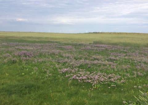An area of beach near the dunes in Skegness where the body of a man was found in a tent. ANL-160818-160551001