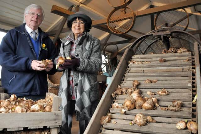 Spalding Flower Bulb Museum.