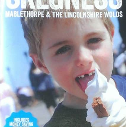 Could your pic make the front cover of the 2017 Skegness, Mablethorpe and The Lincolnshire Wolds holiday guide ANL-160824-143240001