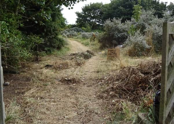 The public footpath in Skegness where a hypodermic needle was found in a child's bean bag left  in a den in the bushes. ANL-160830-115417001