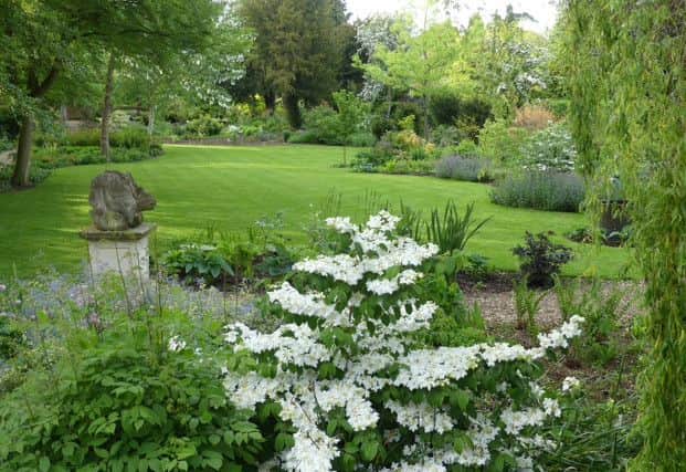48 Westgate in Louth is having an open garden event today (Sunday).