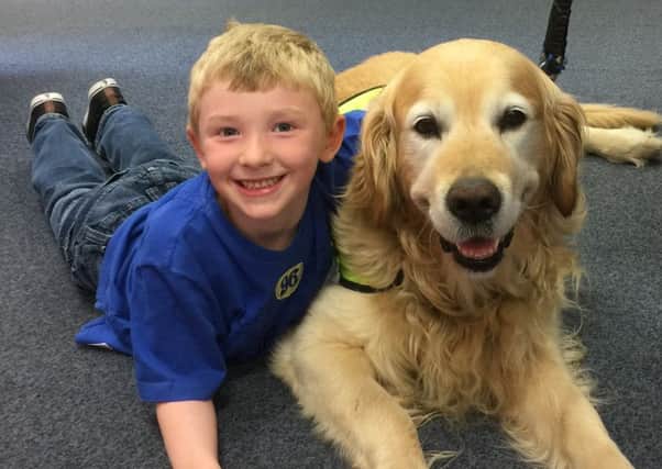 William Lord (age 7), from Louth, with Angus the reading dog, part of Therapy Dogs Nationwide.