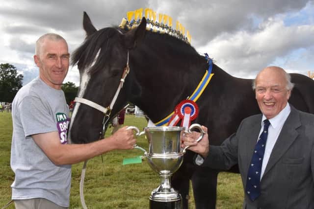 David Cosgrove of Hainton with his magnificent shire horse which was supreme champion at Wragby Show, receiving the Herring Trophy from show president Mike Perkins.
Photo John Edwards. EMN-160409-192729001