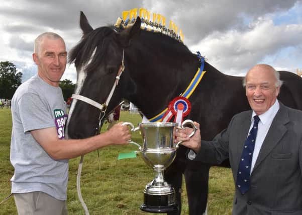 David Cosgrove of Hainton with his magnificent shire horse which was supreme champion at Wragby Show, receiving the Herring Trophy from show president Mike Perkins.
Photo John Edwards. EMN-160409-192729001