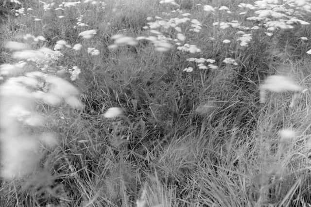 Local photographer and writer Phil Cosker is exhibiting work at 6 churches in North Kesteven